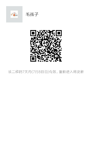 mmqrcode1498893606583.png